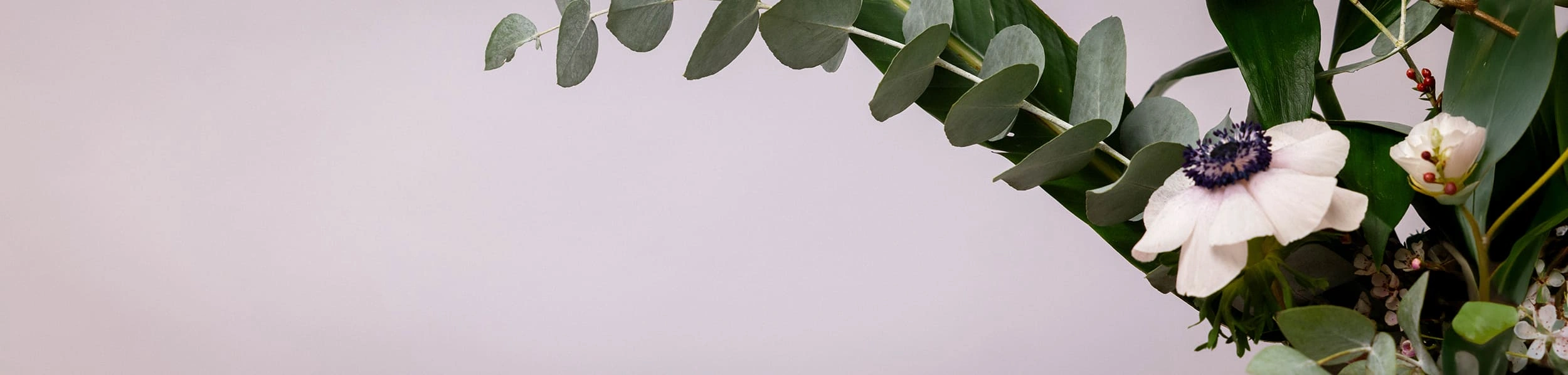 Daniella Nicolli – Praxis für Ästhetik und Naturheilkunde